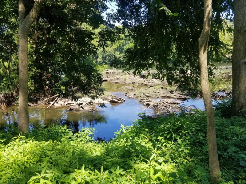 Bluffs, Islands, And Herons Along The Way