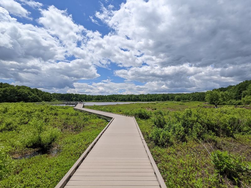 Boardwalk Trail at Huntley Meadows Park Boardwalk Trail at Huntley Meadows Park