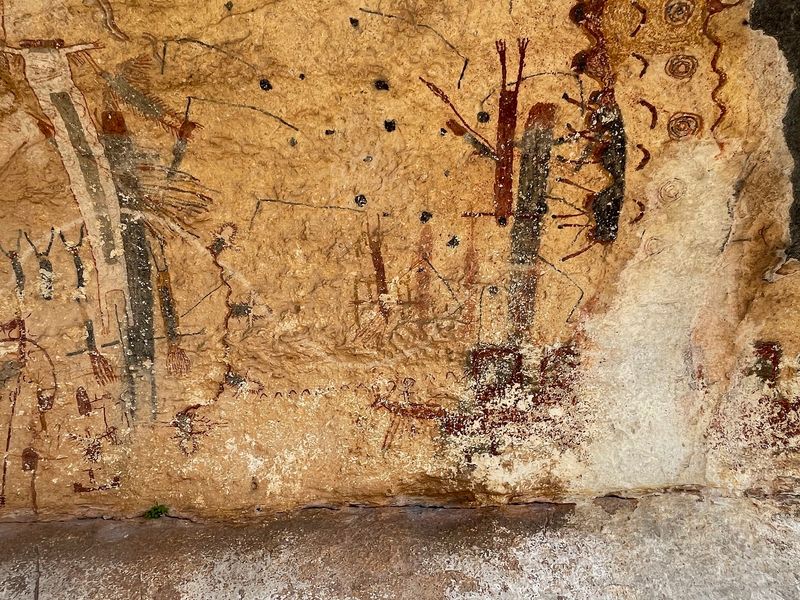 Booking A Guided Tour With The Witte Museum