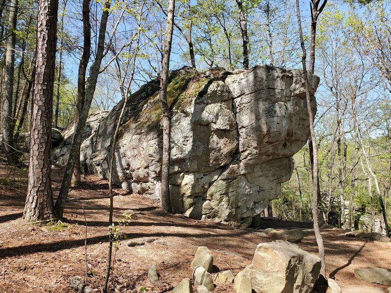 Bouldering and Rock Climbing That Draws Enthusiasts From Across the Region