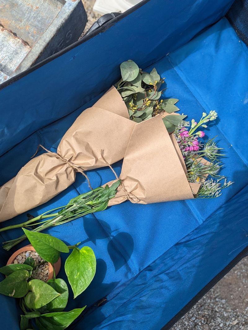 Bring Something To Carry Your Finds