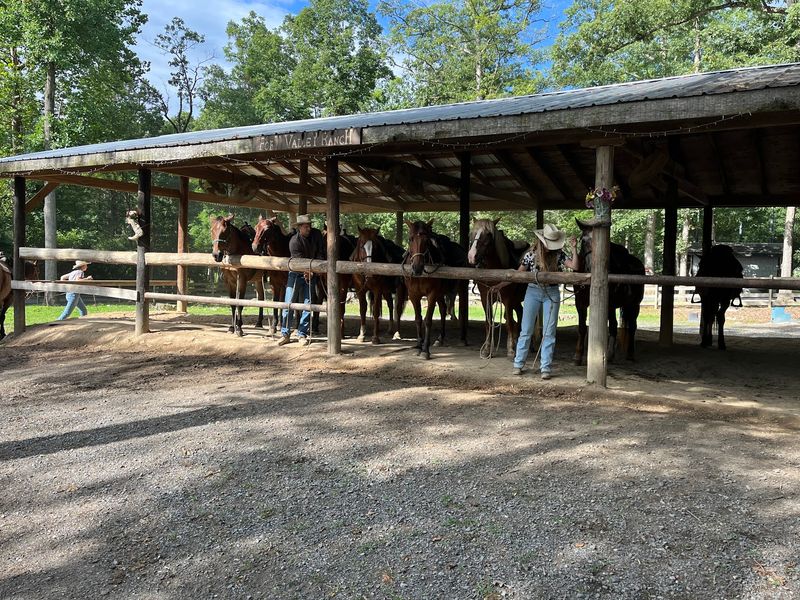 Bring Your Own Horse And Skip The Tie Line Bring Your Own Horse And Skip The Tie Line