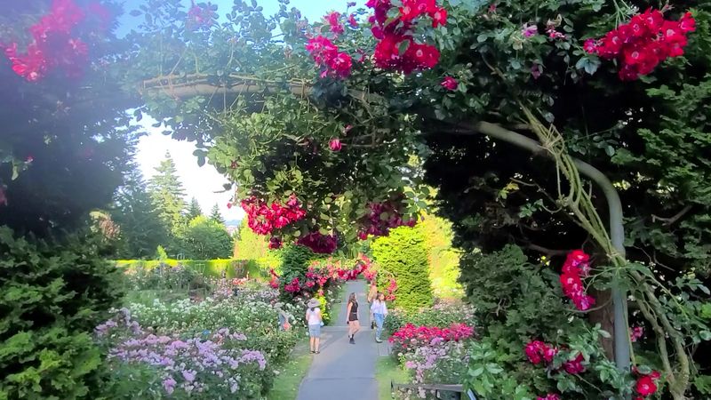 Building a Full Day Around Washington Park