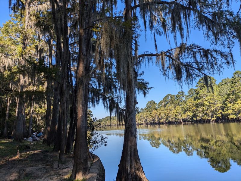 Caddo Lake State Park