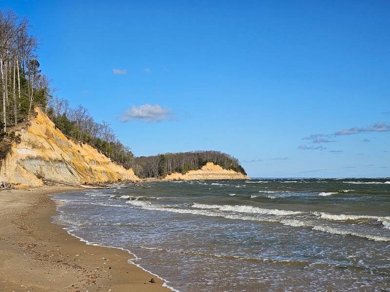 Calvert Cliffs State Park, Red Trail Calvert Cliffs State Park, Red Trail