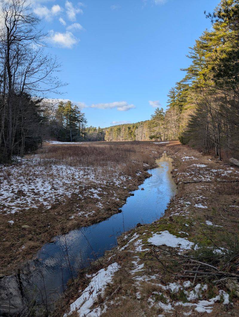 Camp Trail And Fisk Hill Raise The Difficulty