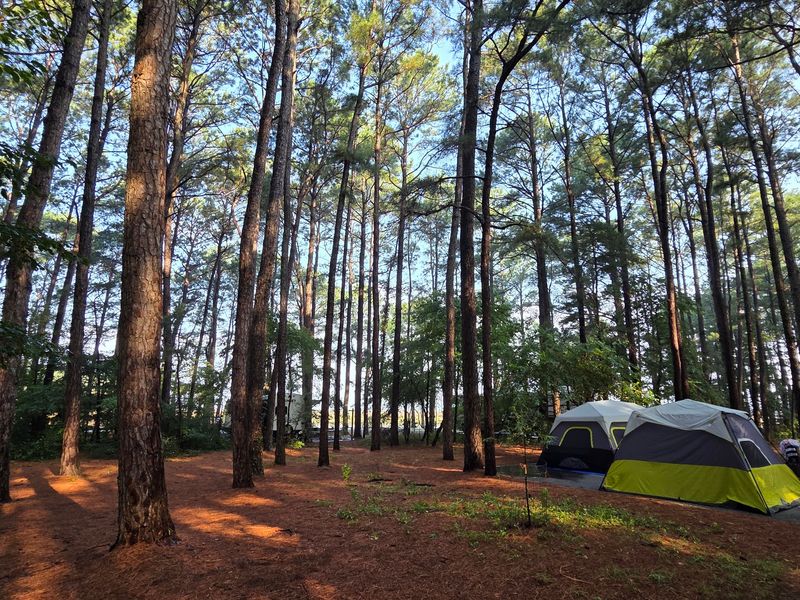 Camping From Full Service Cabins to Backcountry Sites