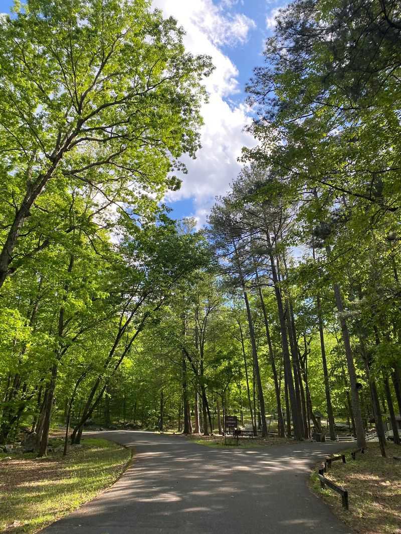 Camping That Feels Like A Secret Between The Pines Camping That Feels Like A Secret Between The Pines