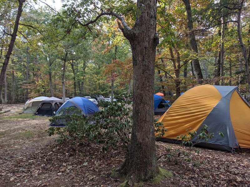 Camping Under the Stars at the Campground