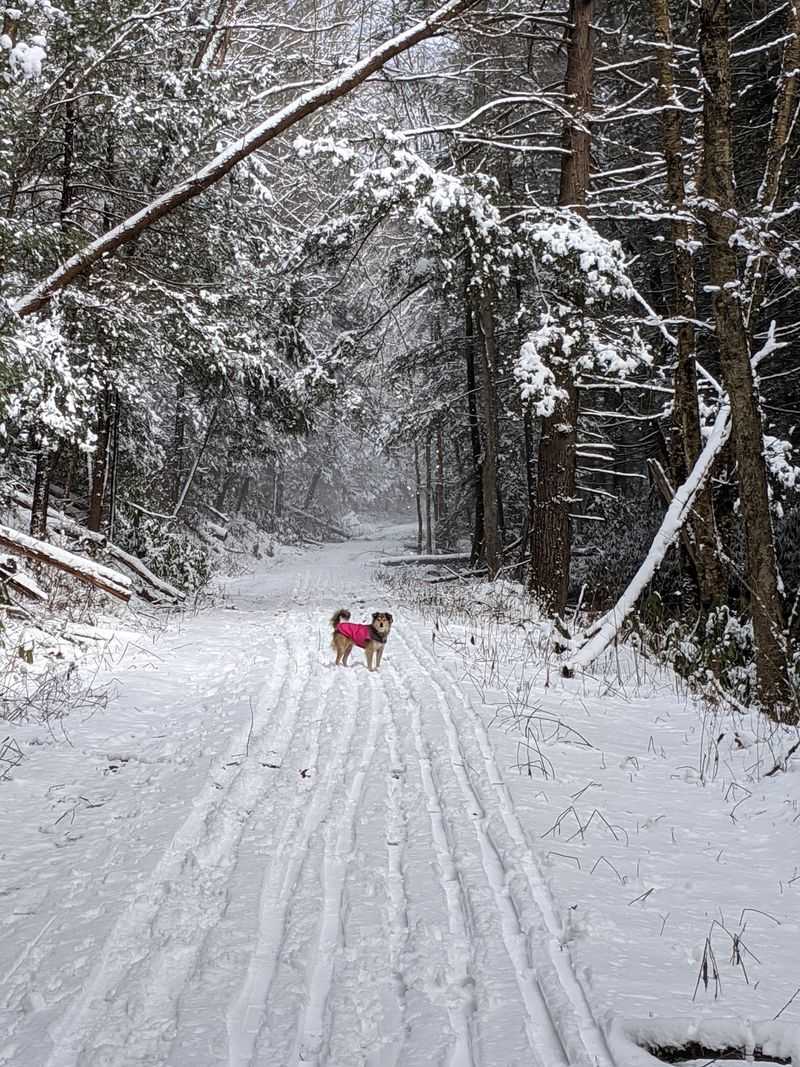 Camping, Winter Trails, and Trip Planning Essentials