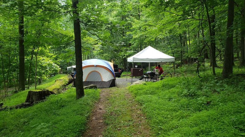 Camping and Staying Overnight Camping and Staying Overnight