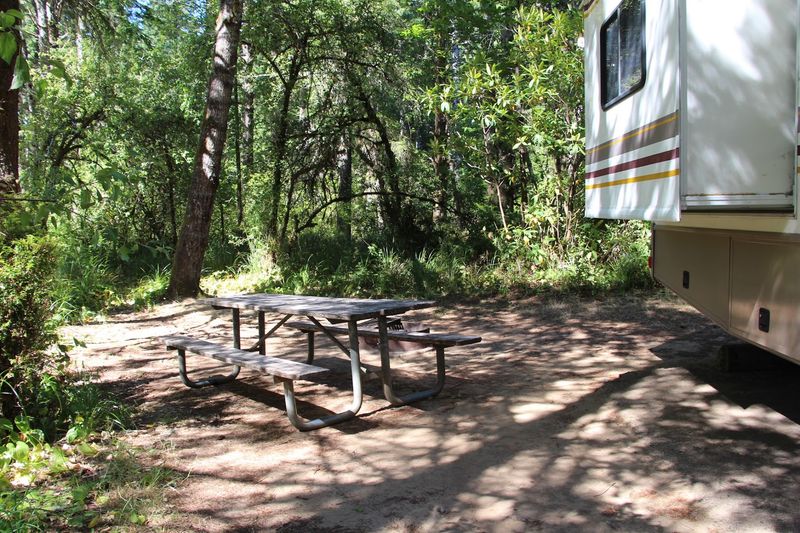 Campsites Wrapped in Green Privacy Screens Campsites Wrapped in Green Privacy Screens