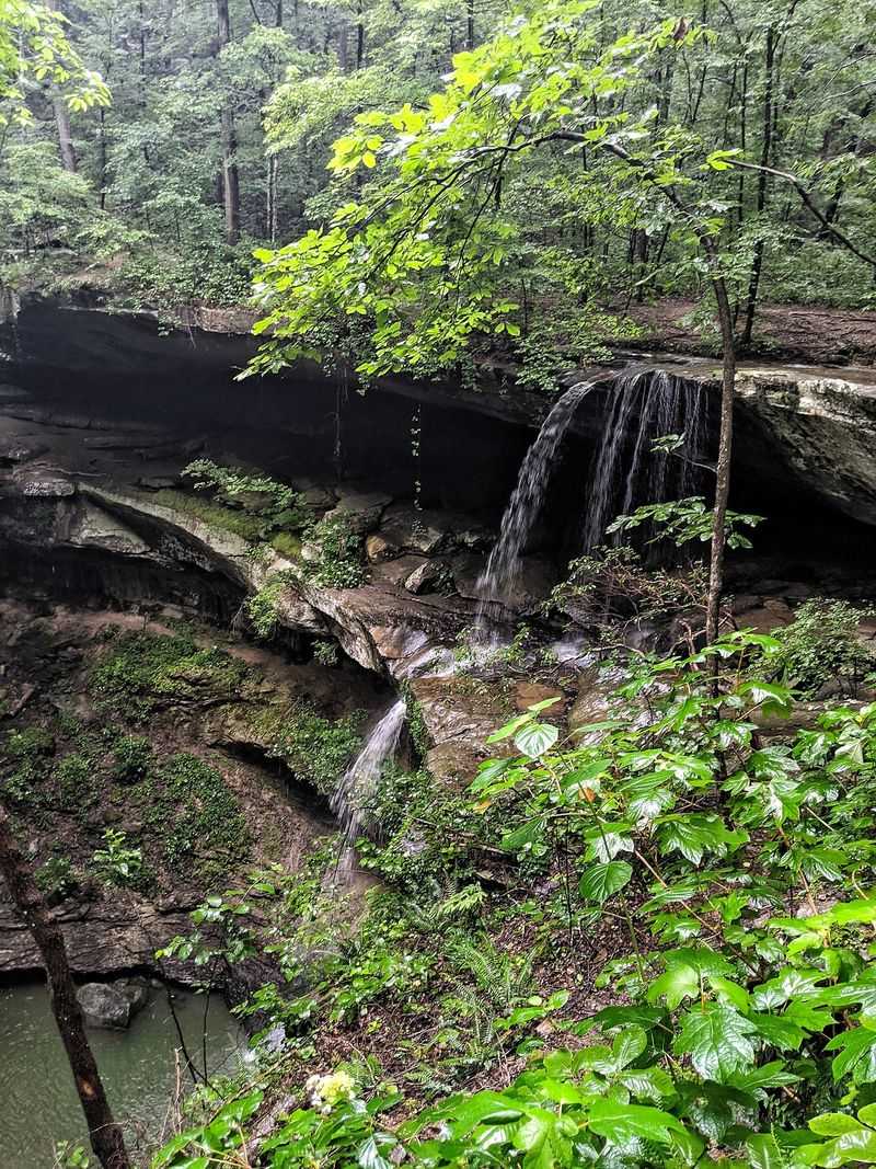 Cane Creek Canyon Nature Preserve, Tuscumbia