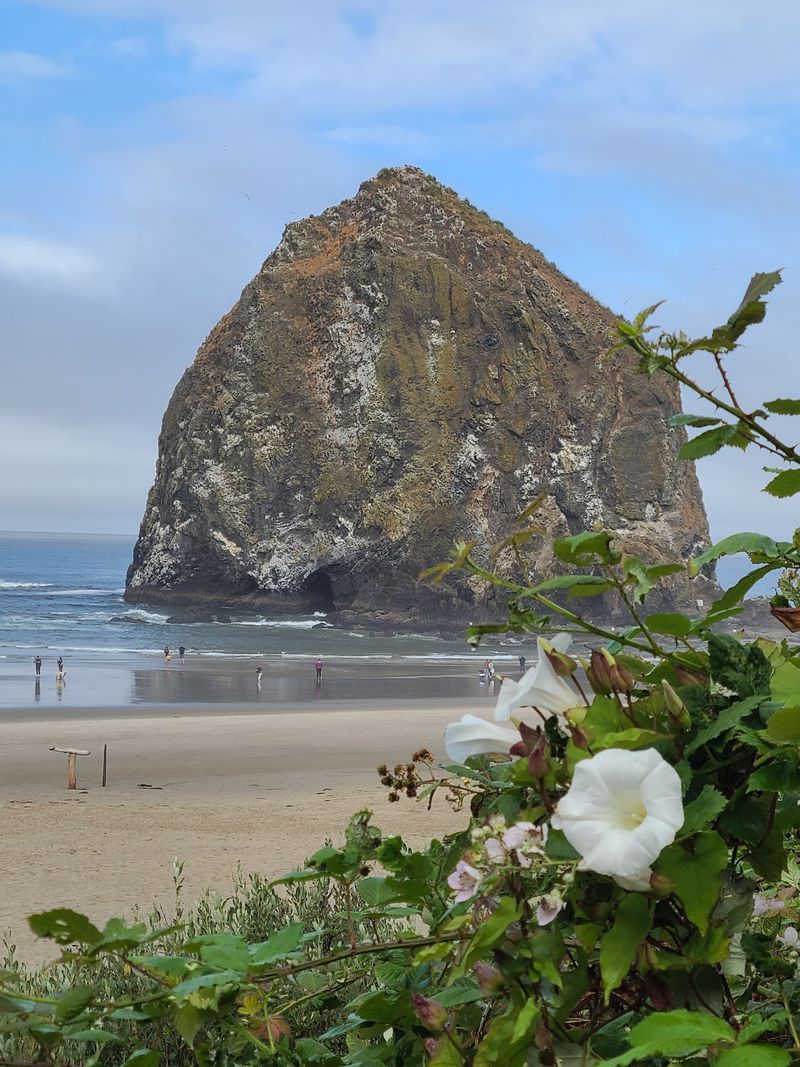 Cannon Beach Cannon Beach