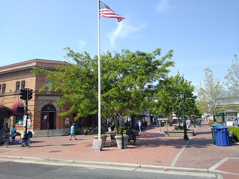 Cape May Cape May