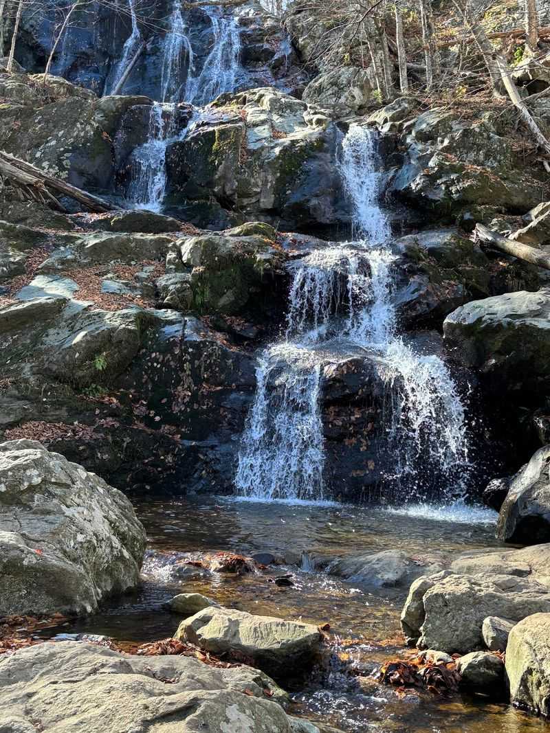 Cascading Water and Forest Trails Worth Every Step
