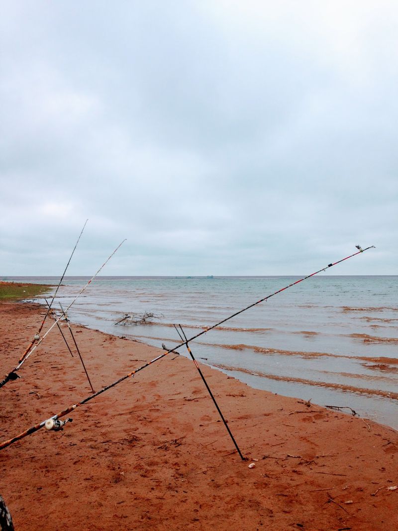 Casting A Line And Seeing What Bites