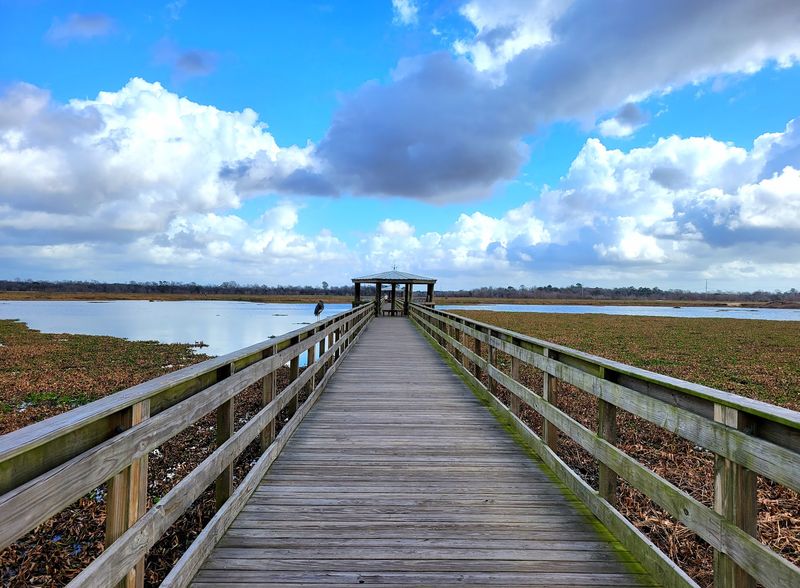 Cattail Marsh Scenic Wetlands and Boardwalk Cattail Marsh Scenic Wetlands and Boardwalk