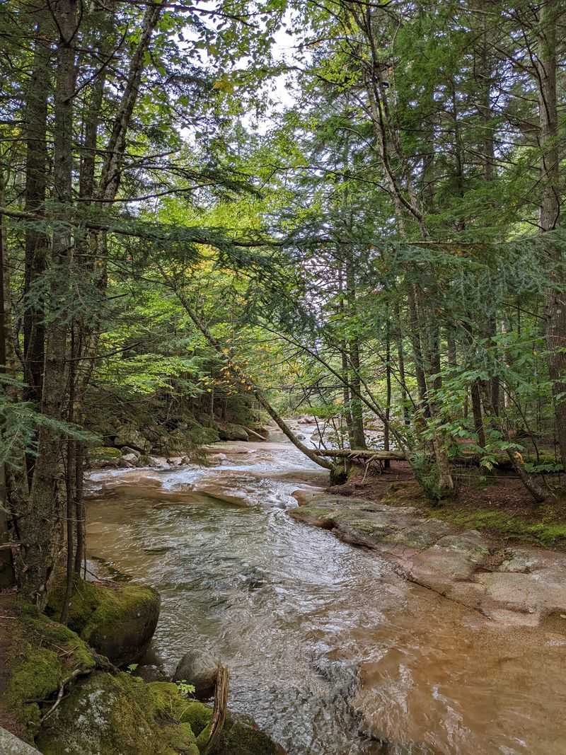Central Region Lakes, Forests, and Quiet Corridors Central Region Lakes, Forests, and Quiet Corridors
