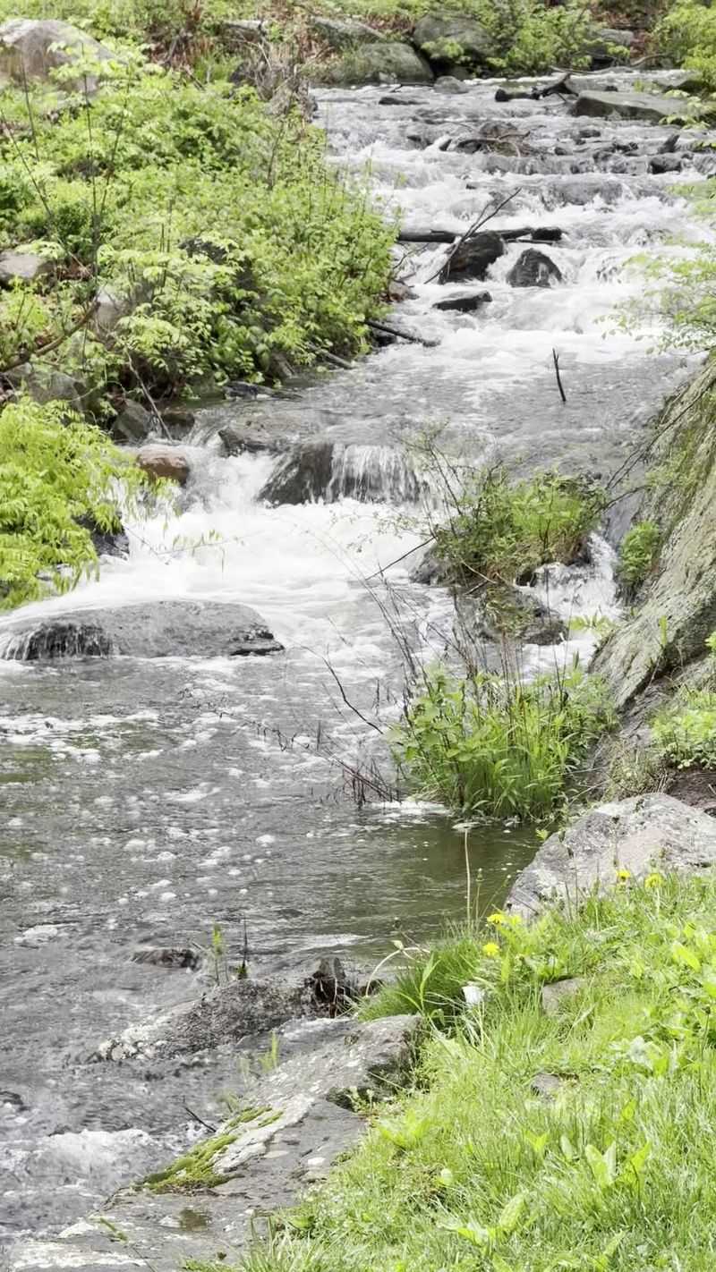 Chase a Mountain Waterfall