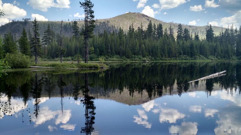 Climbing Black Butte for the Best Panorama Around Climbing Black Butte for the Best Panorama Around