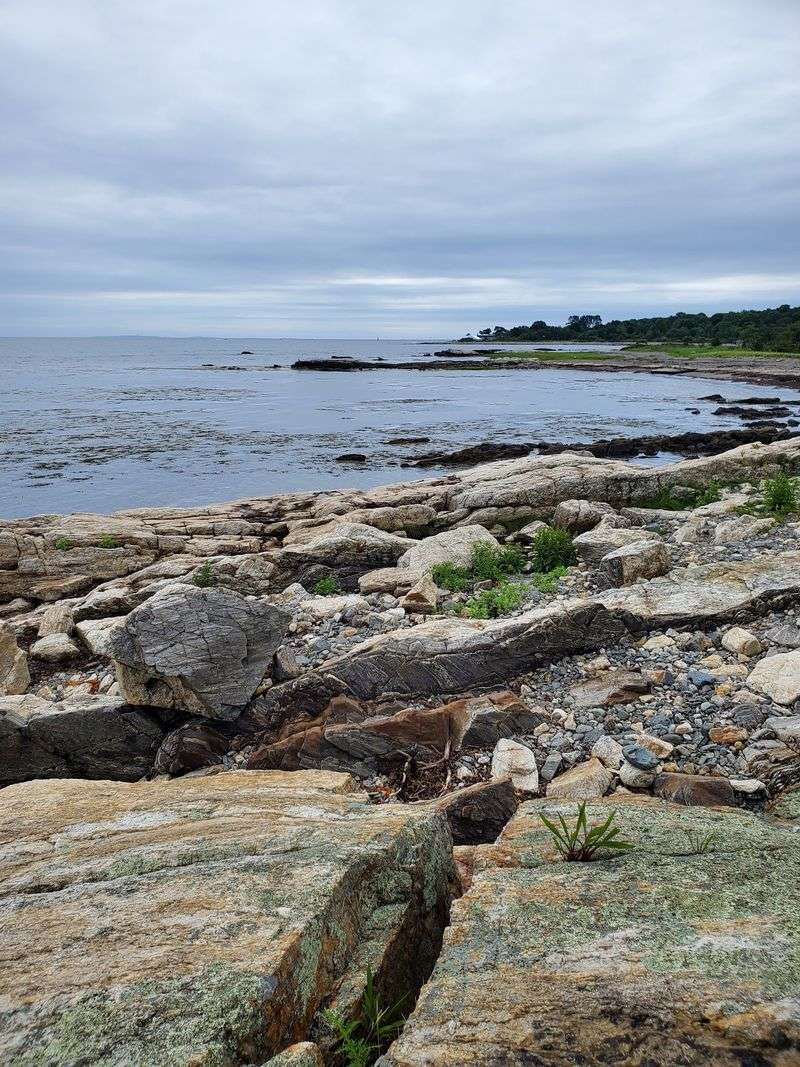 Coastal Secrets of Odiorne Point
