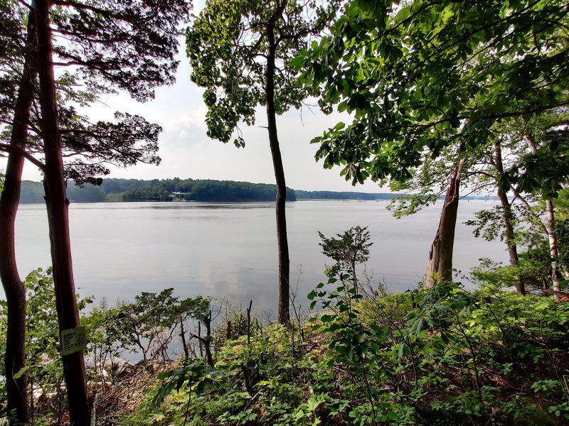 Coastal Wonders at Great Bay Refuge
