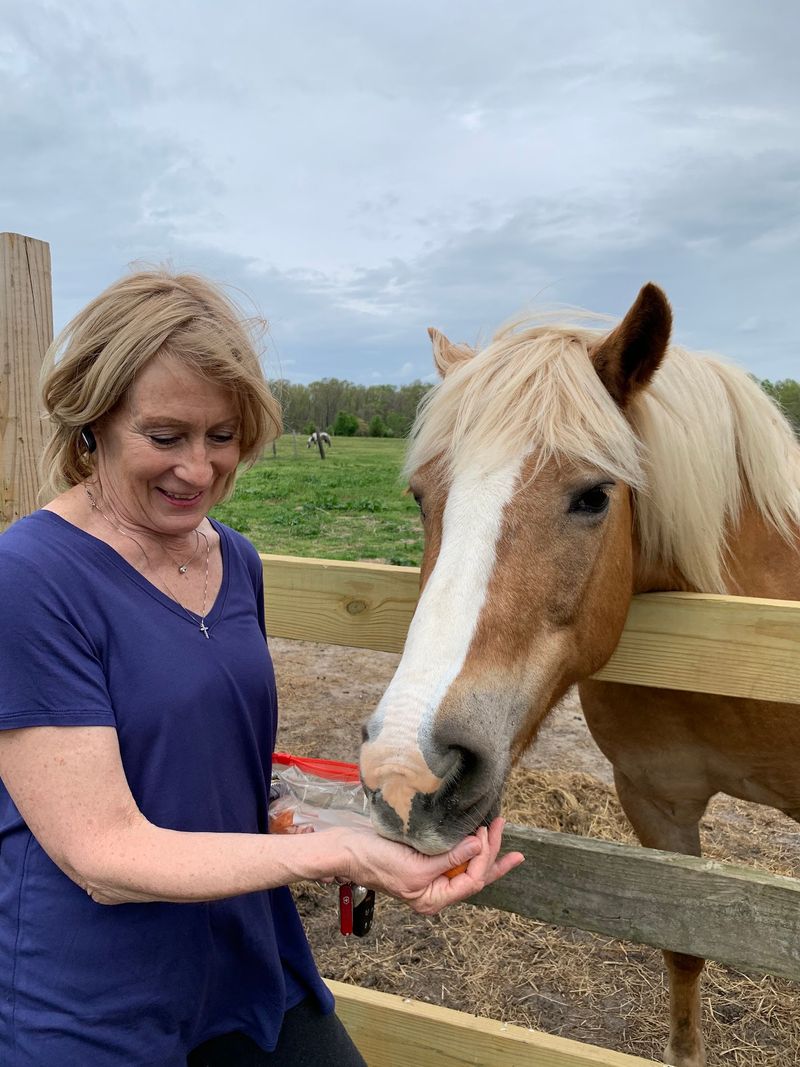 Compassion Powers This Little Sanctuary Compassion Powers This Little Sanctuary