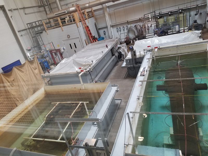 Conservation Science on a World-Class Scale, the Batten Conservation Complex
