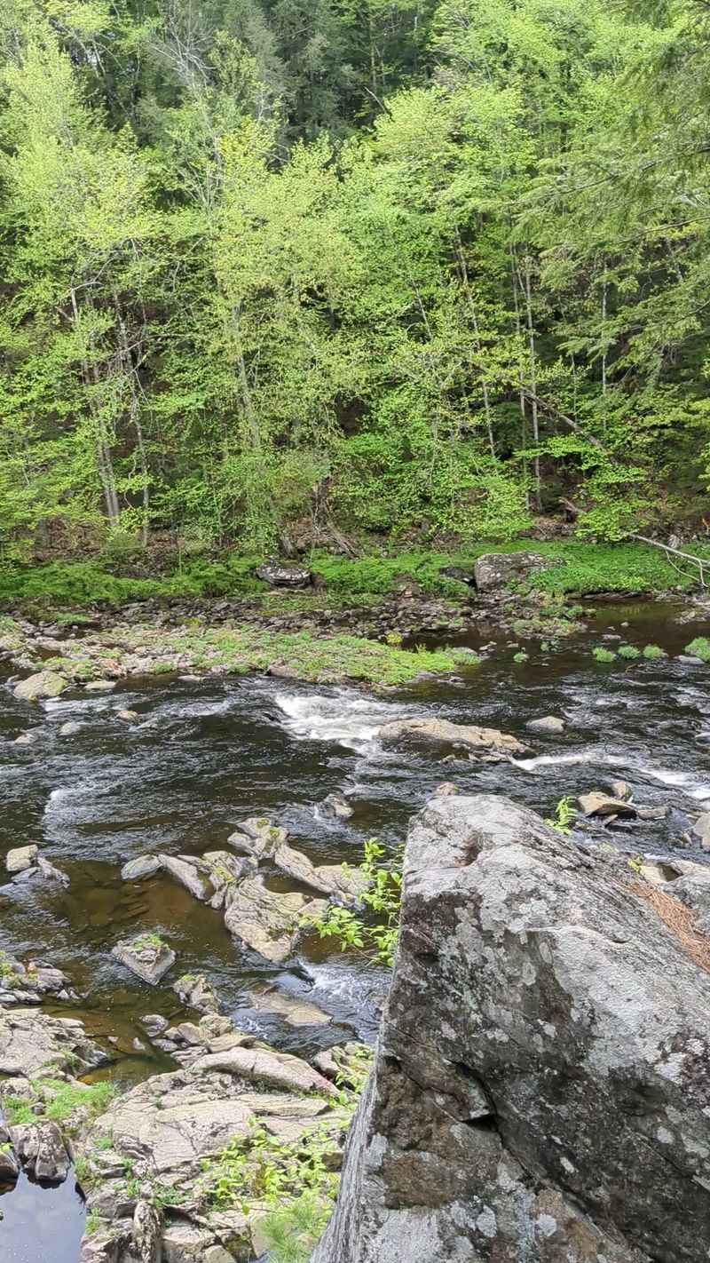 Contoocook River Tree Lined Glides Contoocook River Tree Lined Glides