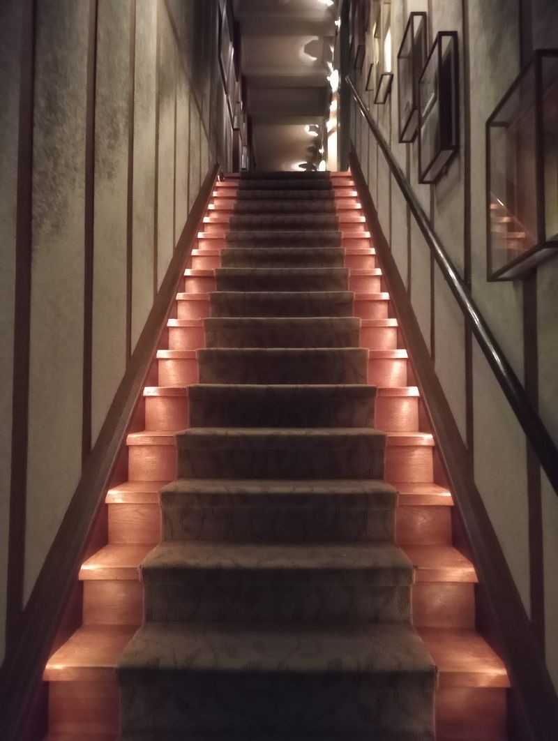 Corridors That Chirp, Drip, and Sing