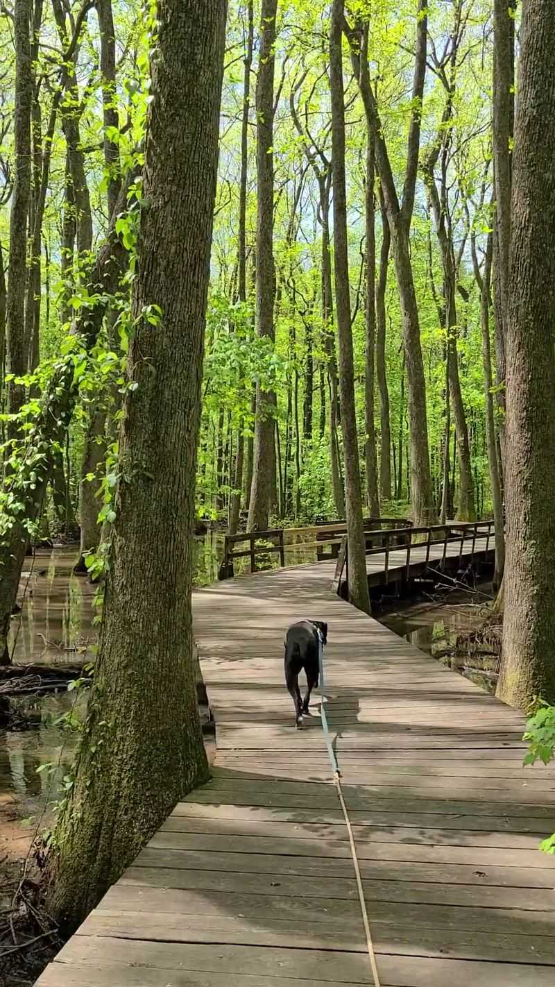 Could This Be the Most Accessible Hidden Trail in North Alabama Could This Be the Most Accessible Hidden Trail in North Alabama