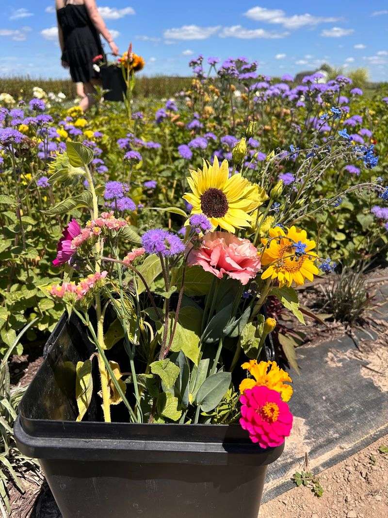 Crafting Your Own Colorful Summer Bouquet Crafting Your Own Colorful Summer Bouquet