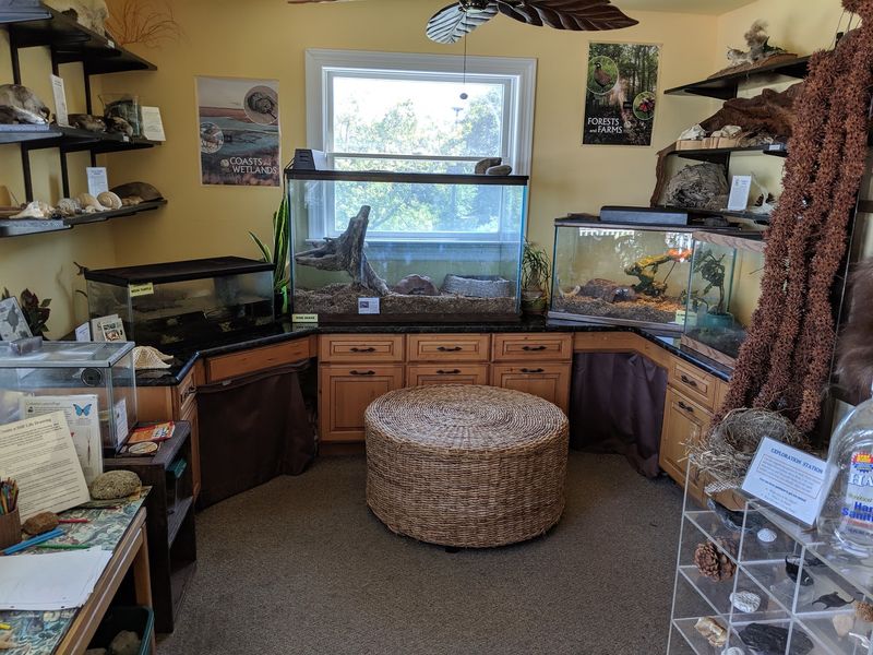 Crafts, Local Art, And The Nature Shop Crafts, Local Art, And The Nature Shop