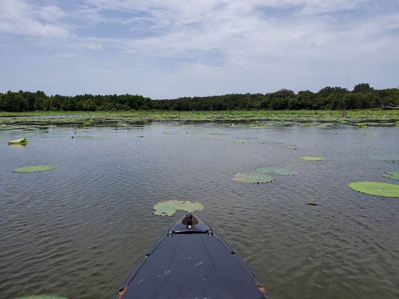 Crappie, Catfish, and the Everyday Catch Crappie, Catfish, and the Everyday Catch