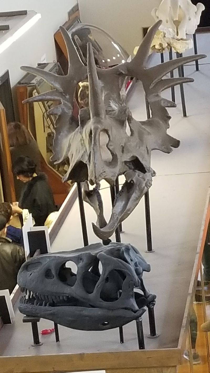 Curious Minds Belong at This Museum