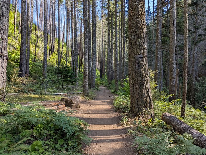 Current Trail Closures, What You Need to Know Before You Go Current Trail Closures, What You Need to Know Before You Go