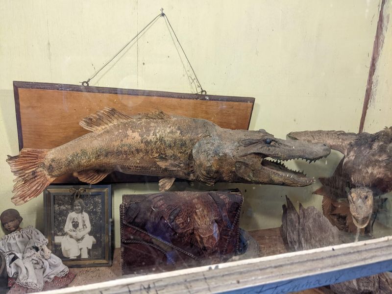 Darrel, Edmond, Thelma and the Rest of the Gator Family