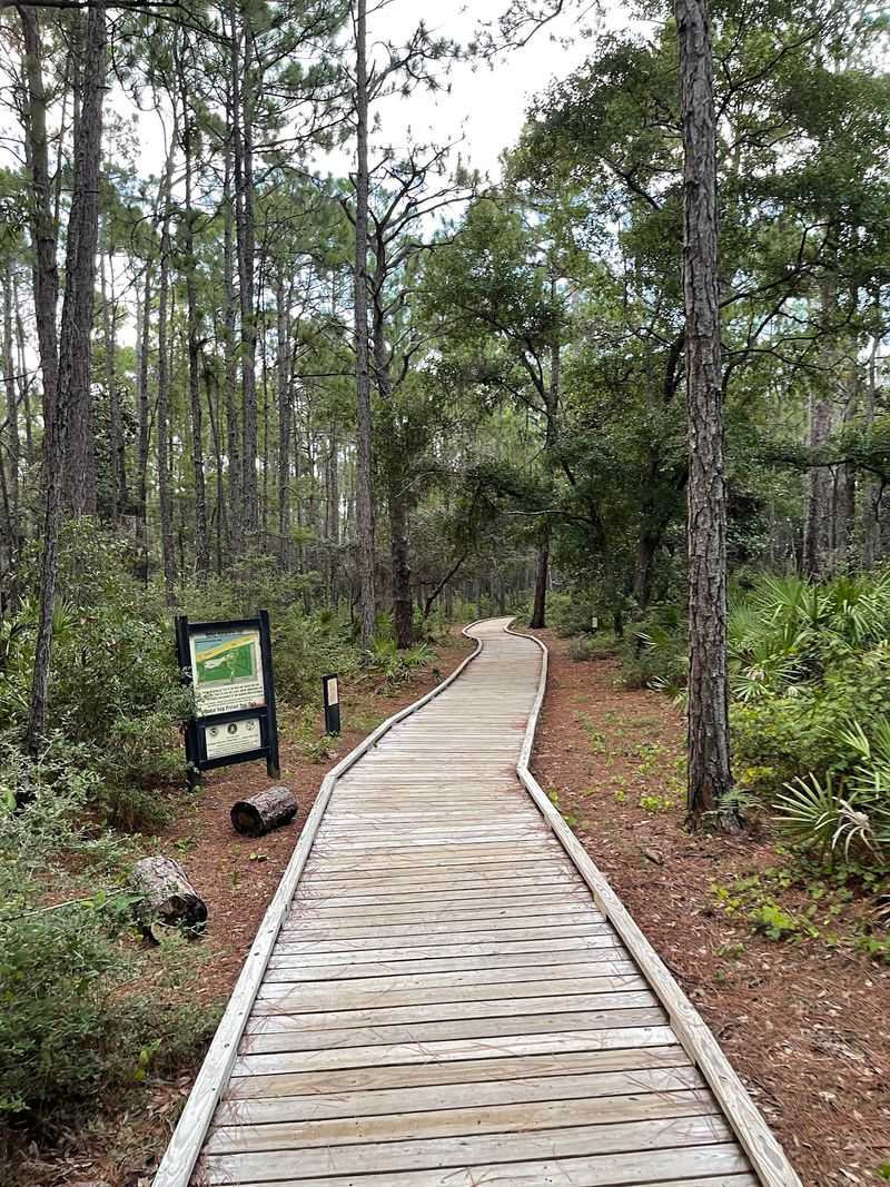Dauphin Island Audubon Bird Sanctuary Dauphin Island Audubon Bird Sanctuary