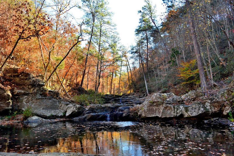 Devil's Den Falls, the Cascade That Stops You in Your Tracks Devil's Den Falls, the Cascade That Stops You in Your Tracks