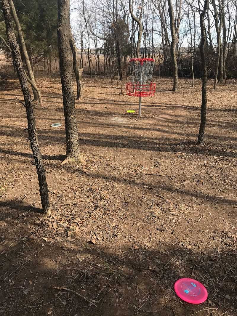 Disc Golf, A Dog Park And Fitness Gear Disc Golf, A Dog Park And Fitness Gear