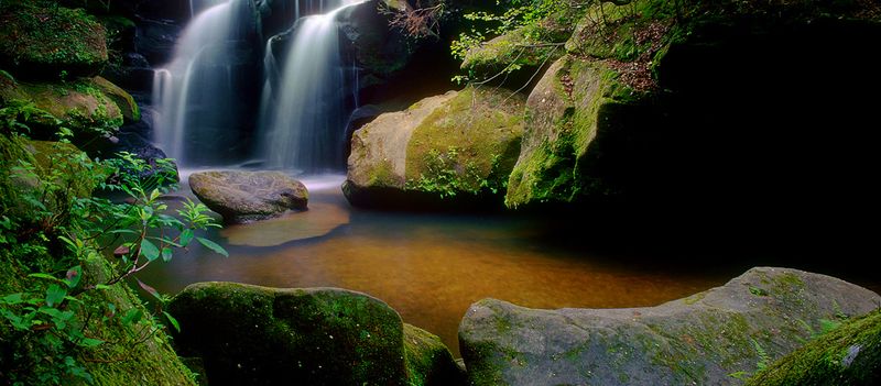 Dismals Canyon at Phil Campbell