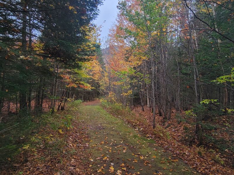 Dixville Notch's Wild Gorges