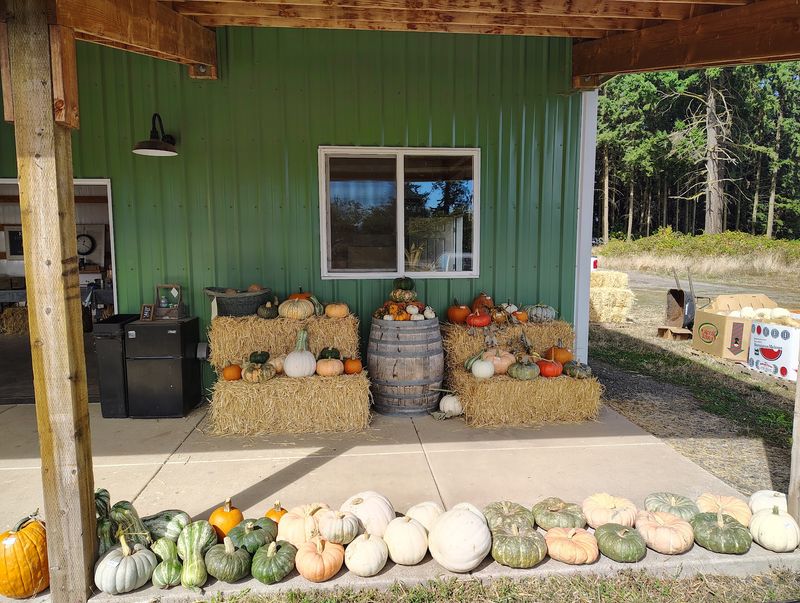 Dolce Farm and Orchards, Newberg Area Dolce Farm and Orchards, Newberg Area