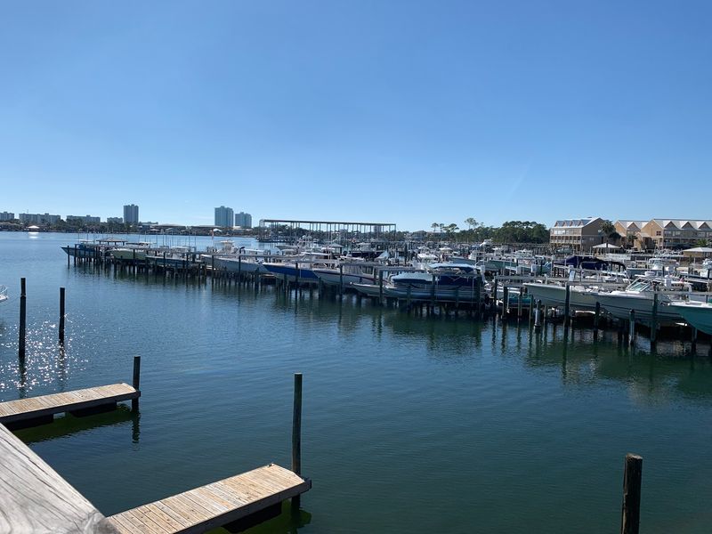 Dolphins, Pelicans, And Boats That Never Stay Docked Long Dolphins, Pelicans, And Boats That Never Stay Docked Long