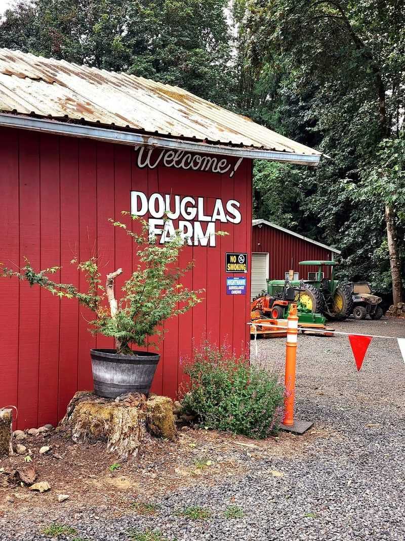 Douglas Farm, Sauvie Island
