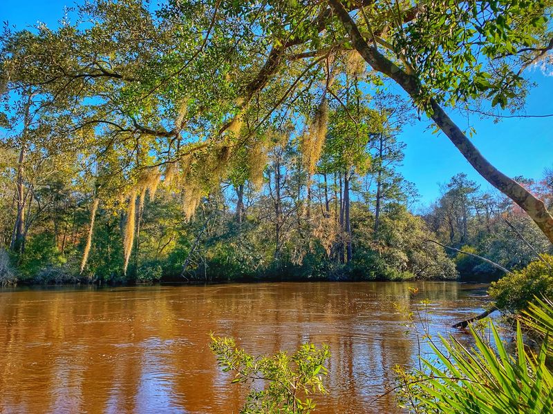 Down at the Ashley River, Where the Wharf Once Stood