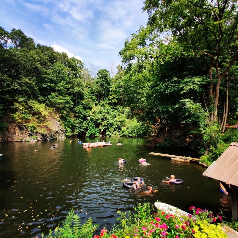 Dragonflies, Native Plants, and a Setting That Feels Wild Dragonflies, Native Plants, and a Setting That Feels Wild