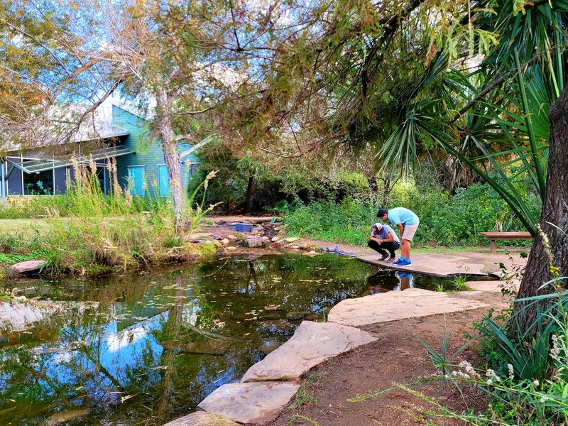 Dragonflies, Turtles, Foxes, and the Other Wildlife You Might Not Expect Dragonflies, Turtles, Foxes, and the Other Wildlife You Might Not Expect