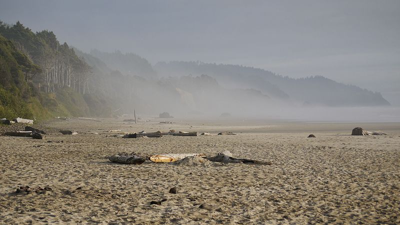 Driftwood Logs, Picnic Spots, and Doing Absolutely Nothing Driftwood Logs, Picnic Spots, and Doing Absolutely Nothing